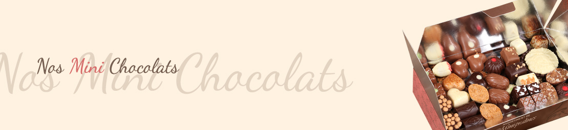 Nos mini Chocolats